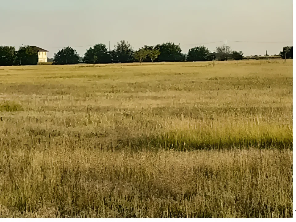 Teren intravilan de vanzare Sector 4 Bucuresti cu verdeata